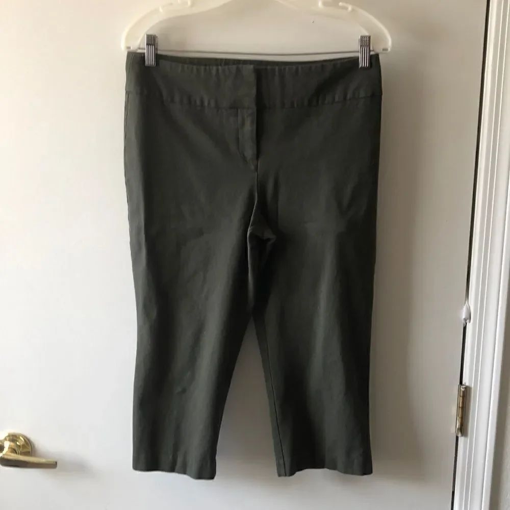 Laura Ashley Petites Capri Size 6p Olive GUC